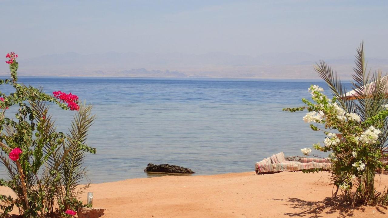 Bedouin Star Hotell Taba Eksteriør bilde