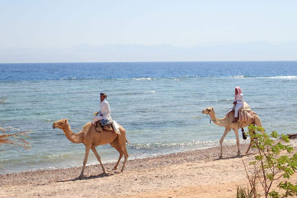 Bedouin Star Hotell Taba Eksteriør bilde