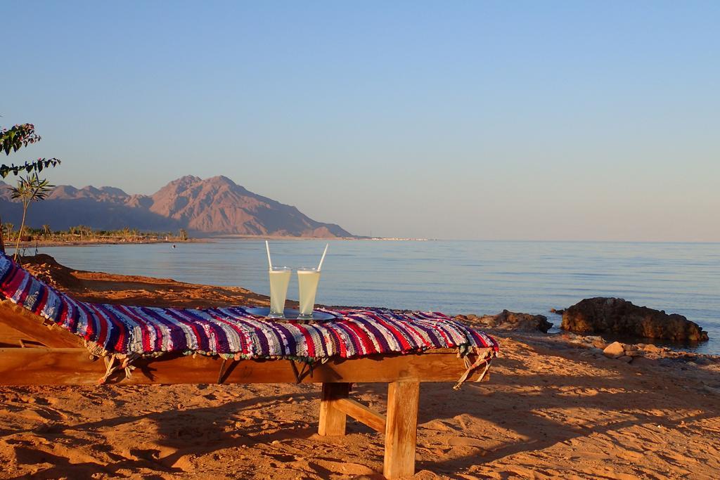Bedouin Star Hotell Taba Eksteriør bilde
