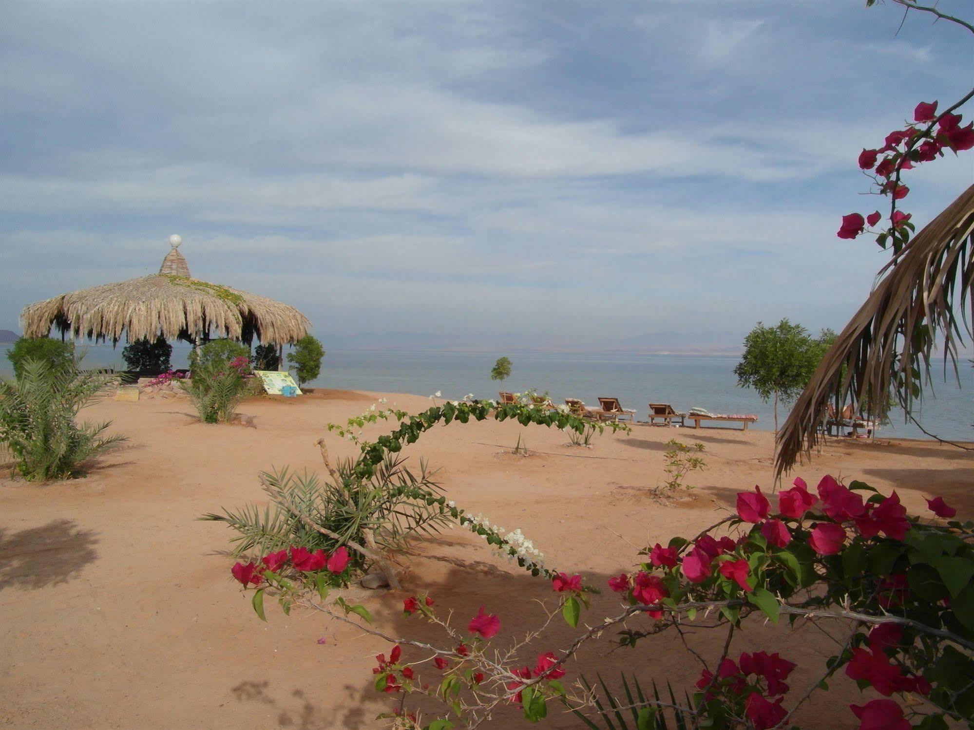 Bedouin Star Hotell Taba Eksteriør bilde