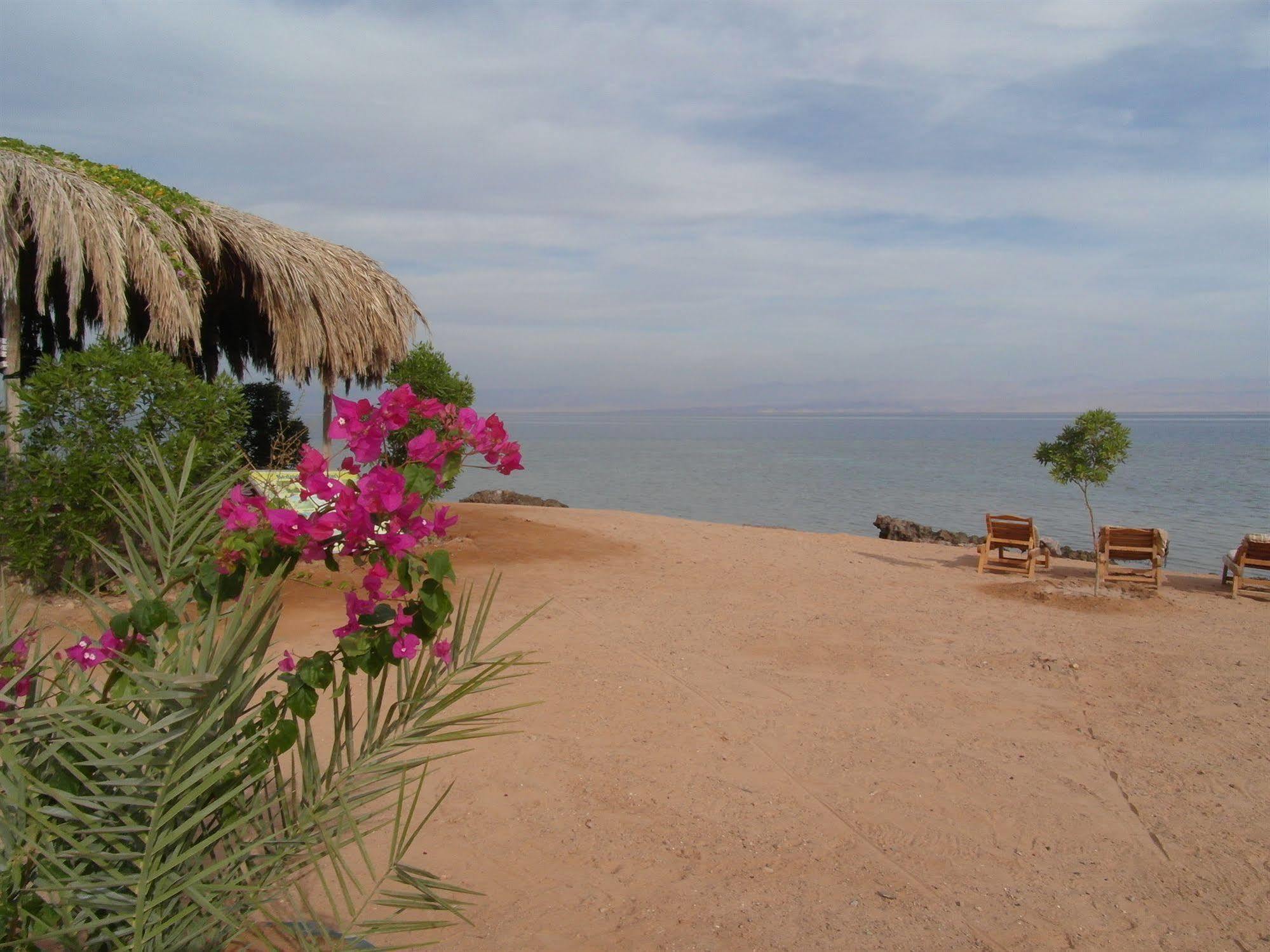 Bedouin Star Hotell Taba Eksteriør bilde