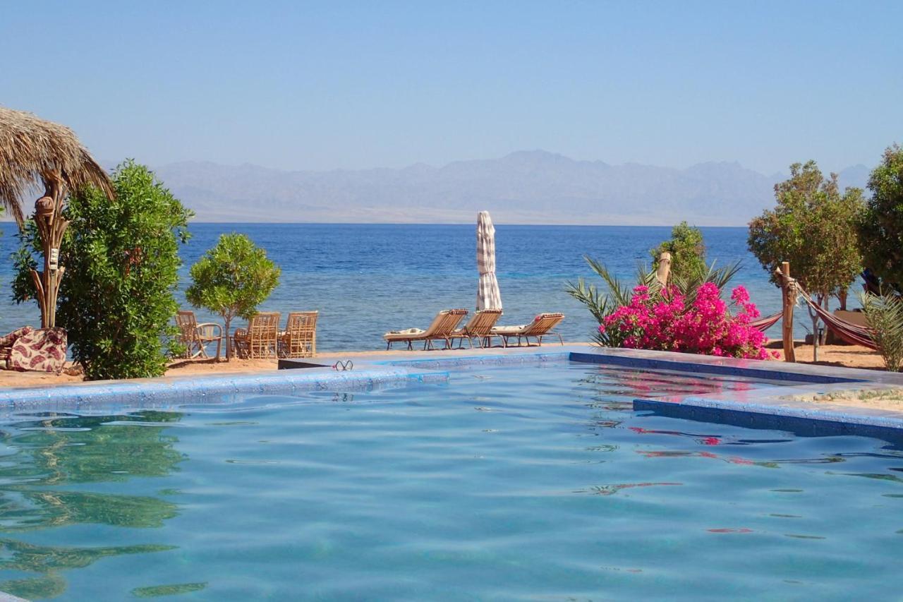Bedouin Star Hotell Taba Eksteriør bilde