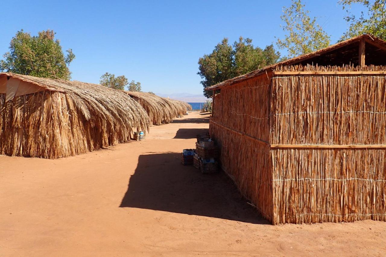 Bedouin Star Hotell Taba Rom bilde